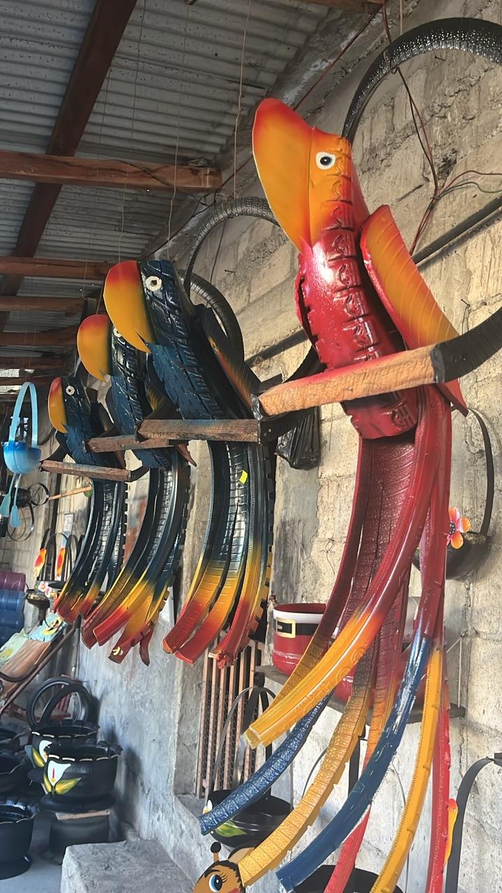 Guacamayas